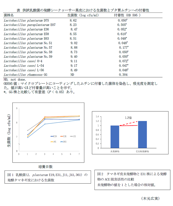 表 供試乳酸菌の発酵シークヮーサー果皮における生菌数とブタ胃ムチンへの付着性,図1 乳酸菌(L.plantarum E19,E31,J11,J41,361) の発酵タマネギ皮における生菌数,図2 タマネギ皮未発酵物とE31株による発酵物のACE阻害活性の比較