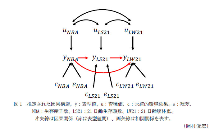 図1 推定された因果構造。y:表型値、u:育種価、c:永続的環境効果、e:残差、NBA:生存産子数、LS21:21日齢生存頭数、LW21:21日齢腹体重、片矢線は因果関係(赤は表型値間)、両矢線は相関関係を表す。