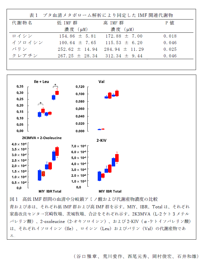 表1 ブタ血清メタボローム解析により同定したIMF関連代謝物,図1 高低IMF群間の血清中分岐鎖アミノ酸および代謝産物濃度の比較