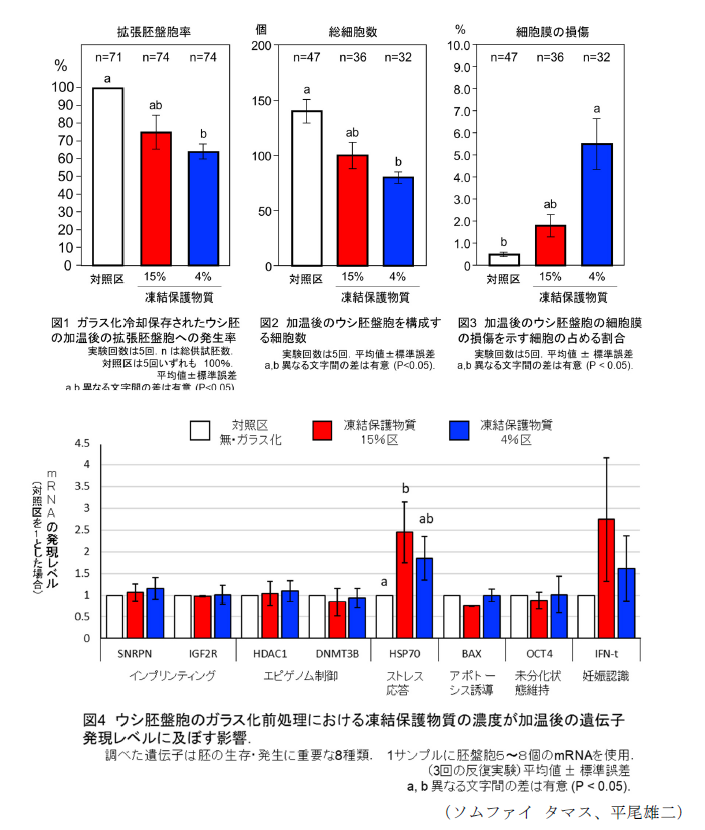 図1  ガラス化冷却保存されたウシ胚の加温後の拡張胚盤胞への発生率,図2 加温後のウシ胚盤胞を構成する細胞数,図3 加温後のウシ胚盤胞の細胞膜の損傷を示す細胞の占める割合,図4 ウシ胚盤胞のガラス化前処理における凍結保護物質の濃度が加温後の遺伝子発言レベルに及ぼす影響