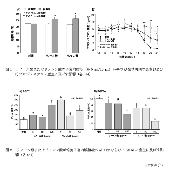 図1 リノール酸またはリノレン酸の子宮内投与(各5 mg/10 ml)が牛のA)発情周期の長さおよびB)プロジェステロン産生に及ぼす影響(各n=4),図2 リノール酸またはリノレン酸が培養子宮内膜組織のA)PGE2ならびにB)PGF2産生に及ぼす影響(各n=4)