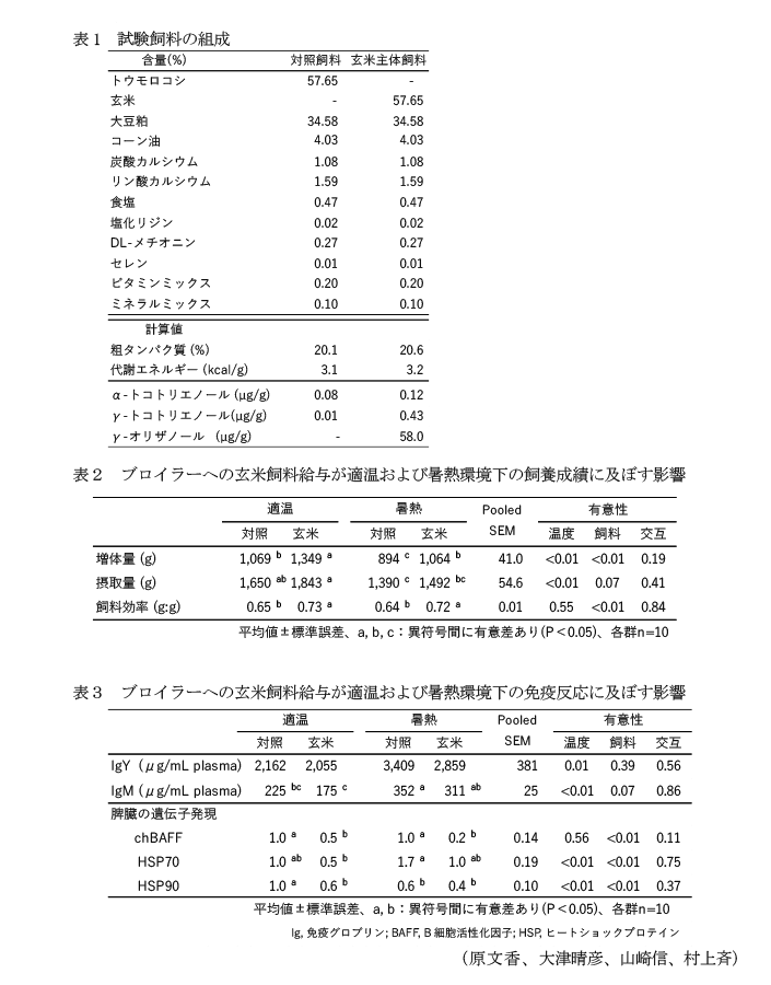 表1 試験飼料の組成,表2 ブロイラーへの玄米飼料給与が適温および暑熱環境下の飼養成績に及ぼす影響,表3 ブロイラーへの玄米飼料給与が適温および暑熱環境下の免疫反応に及ぼす影響