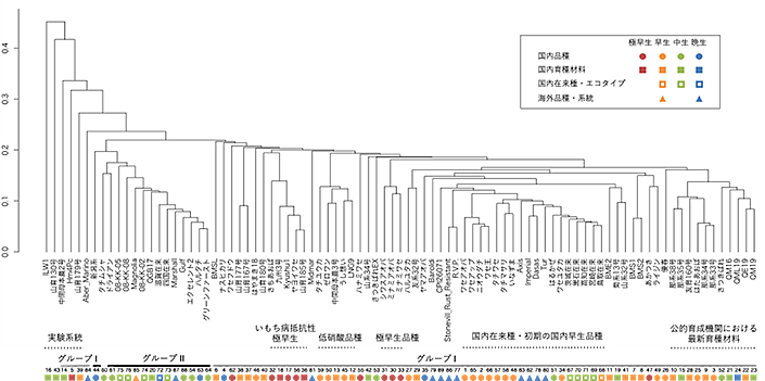 図1 Neiの標準遺伝距離に基づく群平均法によるクラスタリング結果,図2 アレル頻度に基づく主成分プロット,図3 集団内多様性指標の分布,図4 早生品種の品種登録出願年と集団内多様性