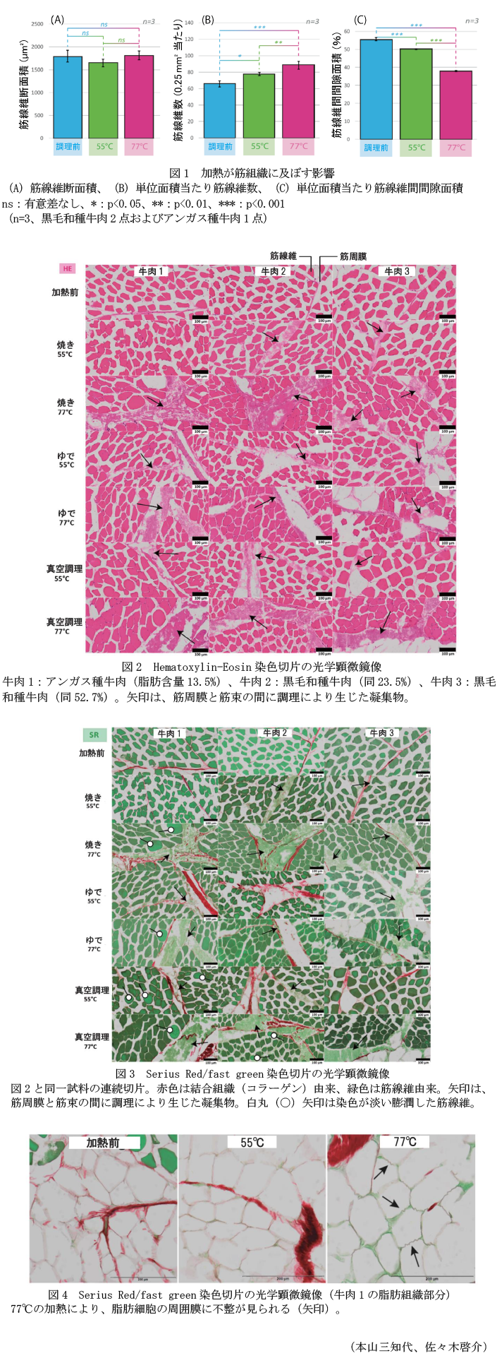 図1 加熱が筋組織に及ぼす影響,図2 Hematoxylin-Eosin染色切片の光学顕微鏡像,図3 Serius Red/fast green染色切片の光学顕微鏡像,図4 Serius Red/fast green染色切片の光学顕微鏡像(牛肉1の脂肪組織部分)