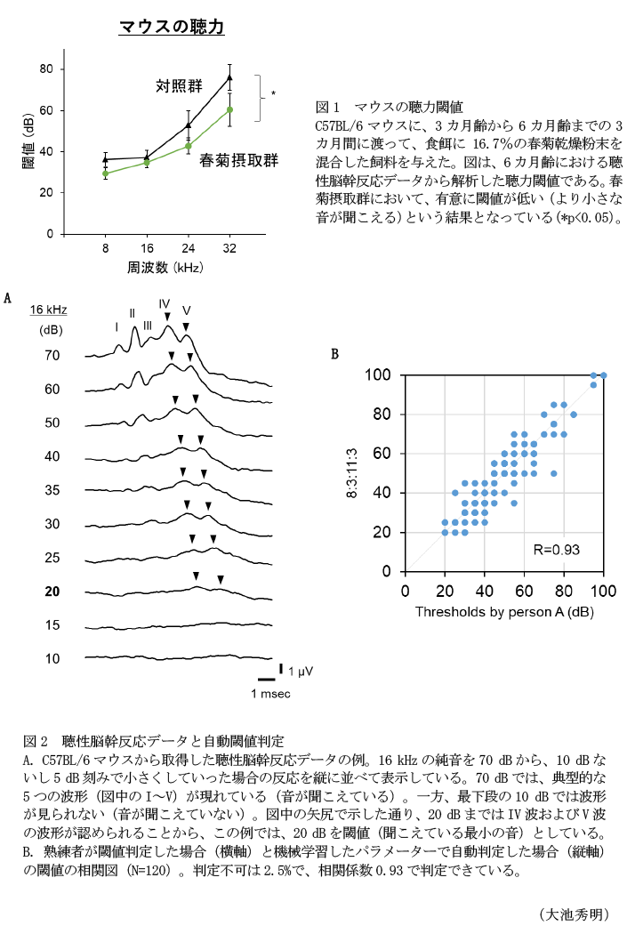 図1 マウスの聴力閾値,図2 聴性脳幹反応データと自動閾値判定