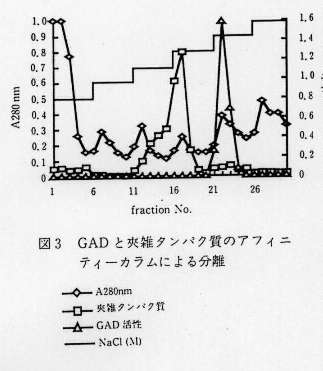 図3.GADと夾雑タンパク質のアフィニティーカラムによる分離