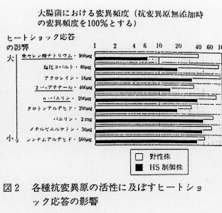 図2.各種抗変異原の活性に及ぼすヒートショック応答の影響