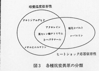 図3.各種抗変異原の分類