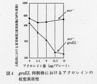 図4.groEL抑制株におけるアクロレインの抗変異原性