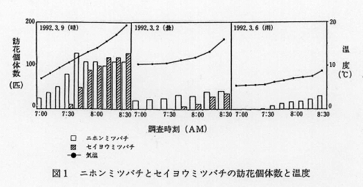 図1.ニホンミツバチとセイヨウミツバチの訪花固体数と温度