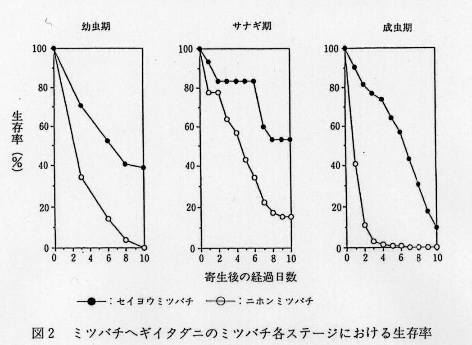 図2.ミツバチヘゲギイタダニのミツバチ各ステージにおける生存率