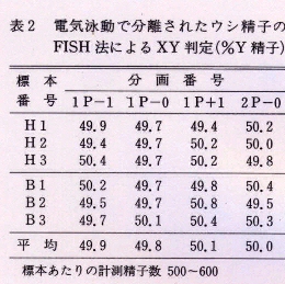 表2.電気泳動で分離されたウシ精子のFISH法によるXY判定