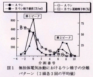 図1.無担体電気泳動におけるウシ精子の分離パタンーン