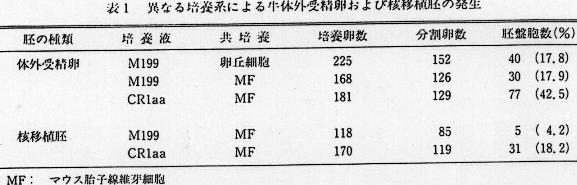 表1.異なる培養系による牛体外受精卵および核移植胚の発生