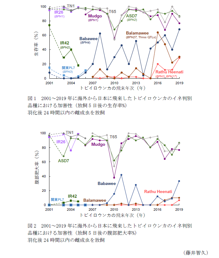 図1 2001～2019年に海外から日本に飛来したトビイロウンカのイネ判別品種における加害性(放飼5日後の生存率%),図2 2001～2019年に海外から日本に飛来したトビイロウンカのイネ判別品種における加害性(放飼5日後の腹部肥大率%)