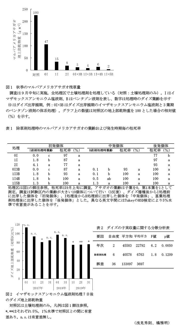 図1 秋季のマルバアメリカアサガオ残草量,表1 除草剤処理時のマルバアメリカアサガオの葉齢および発生時期毎の枯死率,図2 イマザモックスアンモニウム塩液剤処理7日後のダイズ地上部乾物重,表2 ダイズの子実収量に関する分散分析表