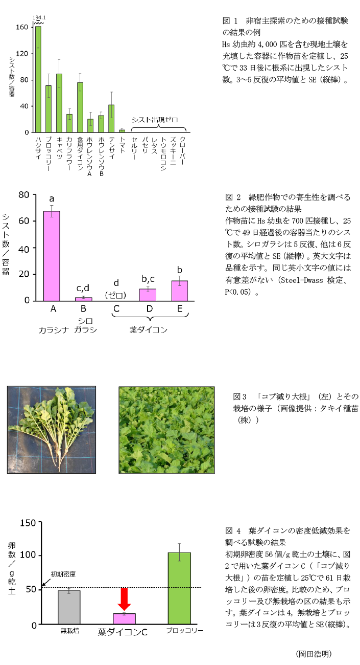 図1 非宿主探索のための接種試験の結果の例,図1 非宿主探索のための接種試験の結果の例,図3 「コブ減り大根」(左)とその栽培の様子,図4 葉ダイコンの密度低減効果を調べる試験の結果