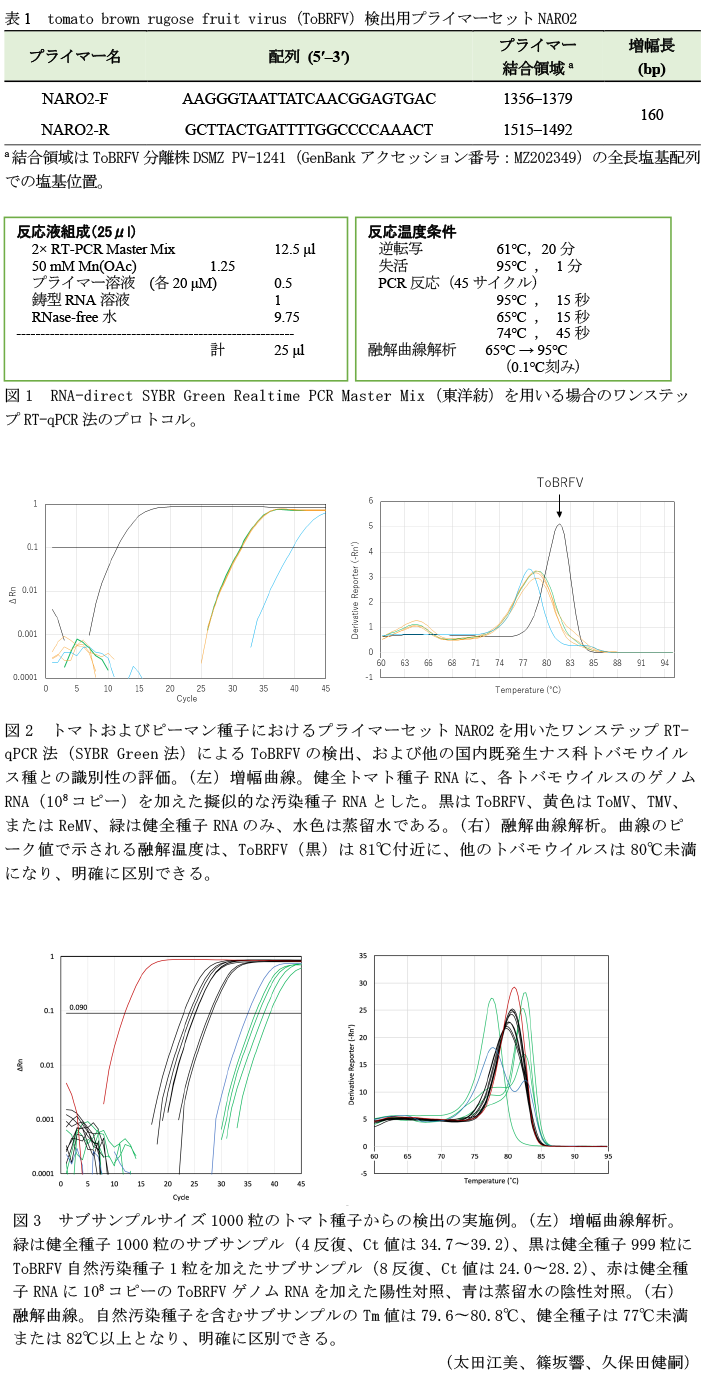 表1 tomato brown rugose fruit virus(ToBRFV)検出用プライマーセットNARO2,図1 RNA-direct SYBR Green Realtime PCR Master Mix(東洋紡)を用いる場合のワンステップRT-qPCR法のプロトコル。,図2 トマトおよびピーマン種子におけるプライマーセットNARO2を用いたワンステップRT-qPCR法(SYBR Green法)によるToBRFVの検出、および他の国内既発生ナス科トバモウイルス種との識別性の評価。,図3 サブサンプルサイズ1000粒のトマト種子からの検出の実施例。(左)増幅曲線解析。