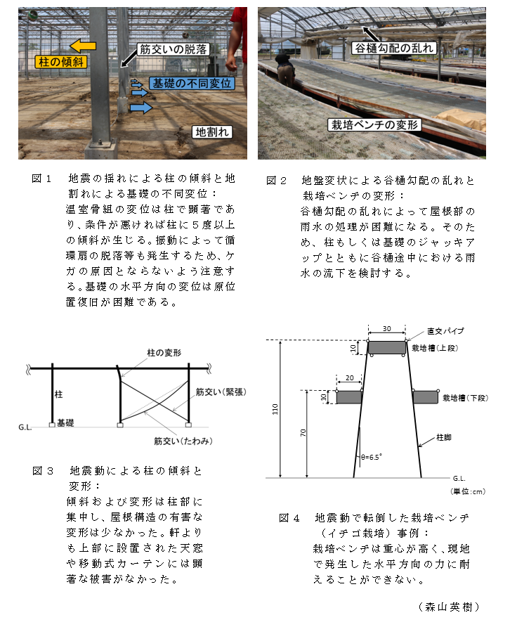 図1 地震の揺れによる柱の傾斜と地割れによる基礎の不同変位;図2 地盤変状による谷樋勾配の乱れと栽培ベンチの変形;図3 地震動による柱の傾斜と変形;図4 地震動で転倒した栽培ベンチ(イチゴ栽培)事例