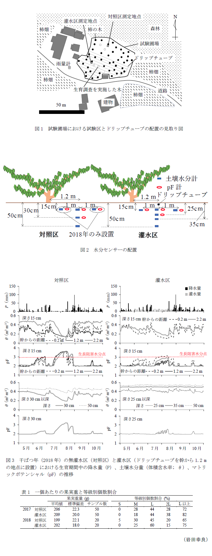 図1 試験圃場における試験区とドリップチューブの配置の見取り図,図2 水分センサーの配置,図3 干ばつ年(2018年)の無灌水区(対照区)と灌水区(ドリップチューブを幹から1.2 m の地点に設置)における生育期間中の降水量(P)、土壌水分量(体積含水率; θ)、マトリックポテンシャル(pF)の推移,表1 一個あたりの果実重と等級別個数割合