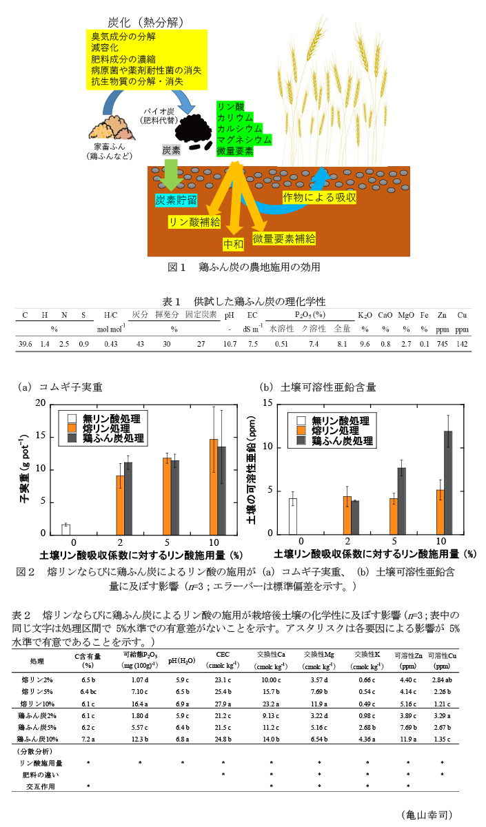 図1 鶏ふん炭の農地施用の効用,表1 供試した鶏ふん炭の理化学性,図2 熔リンならびに鶏ふん炭によるリン酸の施用が(a)コムギ子実重、(b)土壌可溶性亜鉛含量に及ぼす影響,表2 熔リンならびに鶏ふん炭によるリン酸の施用が栽培後土壌の化学性に及ぼす影響