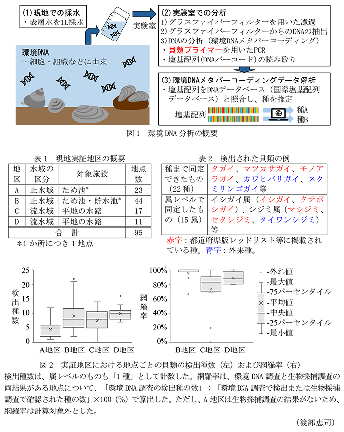 図1 環境DNA分析の概要,図2 実証地区における地点ごとの貝類の検出種数(左)および網羅率(右)