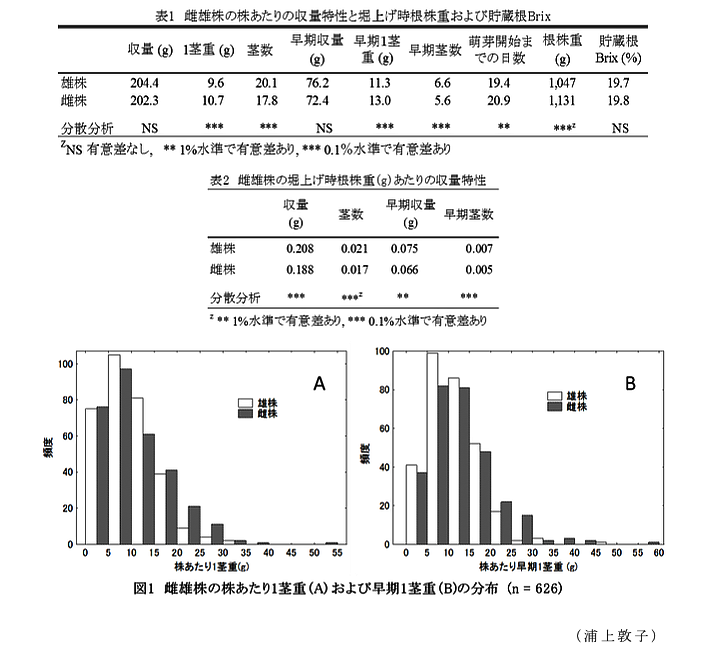 表1 雌雄株の株あたりの収量特性と堀上げ時根株重および貯蔵根Brix?表2 雌雄株の掘上げ時根株重(g)あたりの収量特性?図1 雄雌株の株あたり1茎重(A)および早期1茎重(B)の分布(n=626)