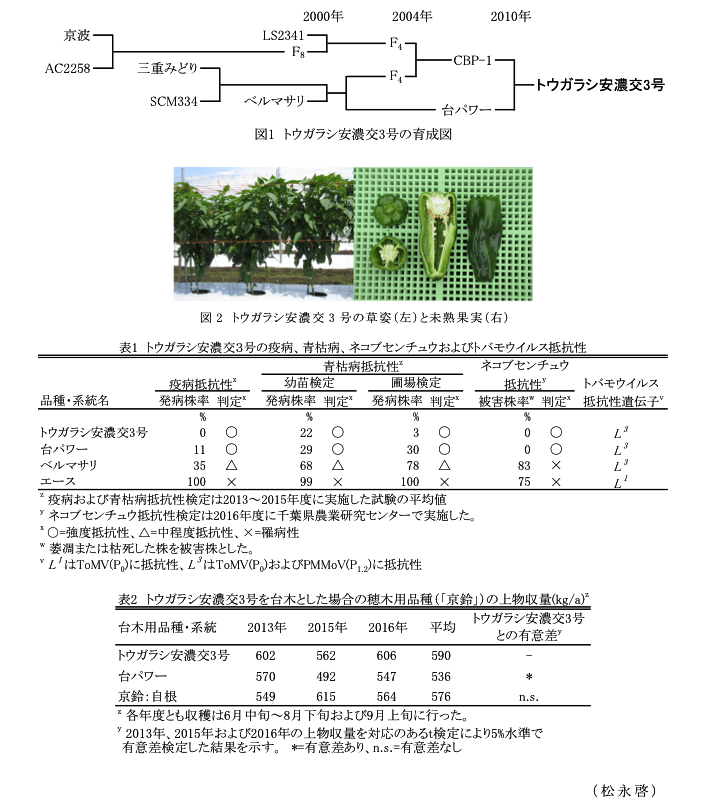 図1 トウガラシ安濃交3号の育成図?図2 トウガラシ安濃交3号の草姿(左)と未熟果実(右)?表1 トウガラシ安濃交3号の疫病、青枯病、ネコブセンチュウおよびトバモウイルス抵抗性?表2 トウガラシ安濃交3号を台木とした場合の穂木用品種(「京鈴」)の上物収量(kg/a)z