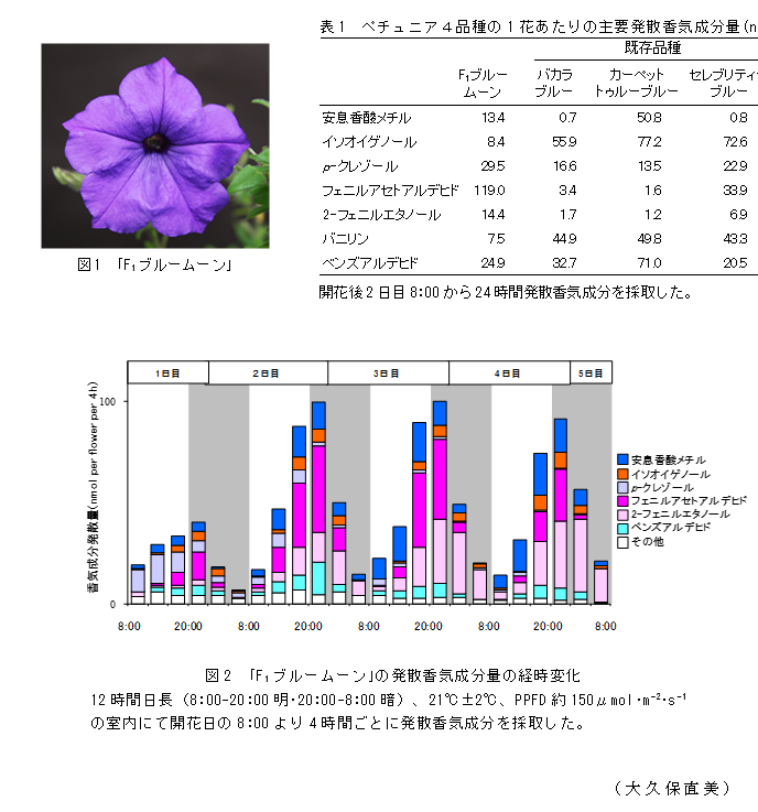表1 ペチュニア4品種の1花あたりの主要発散香気成分量(nmol);図2 「F1ブルームーン」の発散香気成分量の経時変化