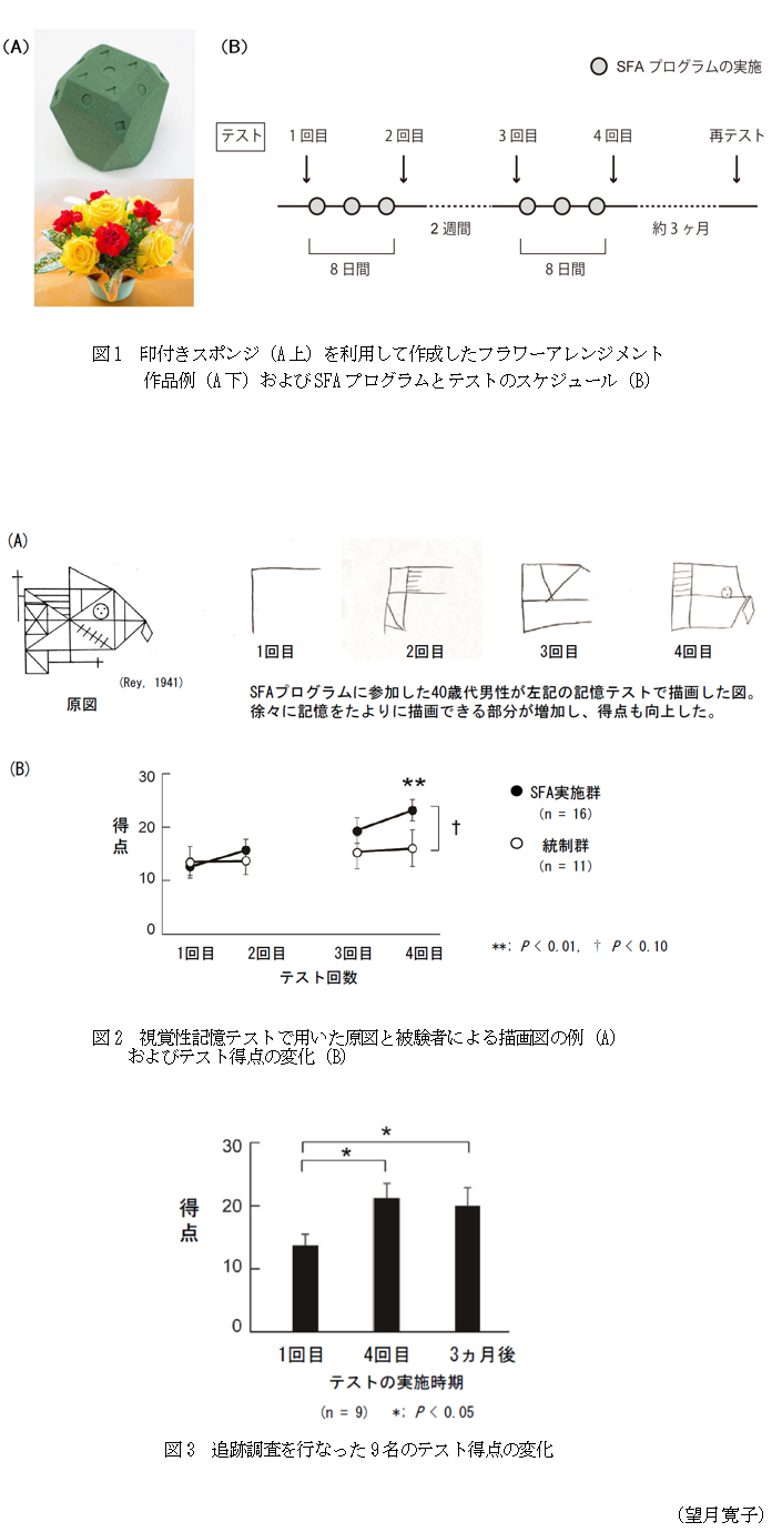 図1 印付きスポンジ(A上)を利用して作成したフラワーアレンジメント作品例(A下)およびSFAプログラムとテストのスケジュール(B),図2 視覚性記憶テストで用いた原図と被験者による描画図の例(A)およびテスト得点の変化(B),図3 追跡調査を行なった9名のテスト得点の変化