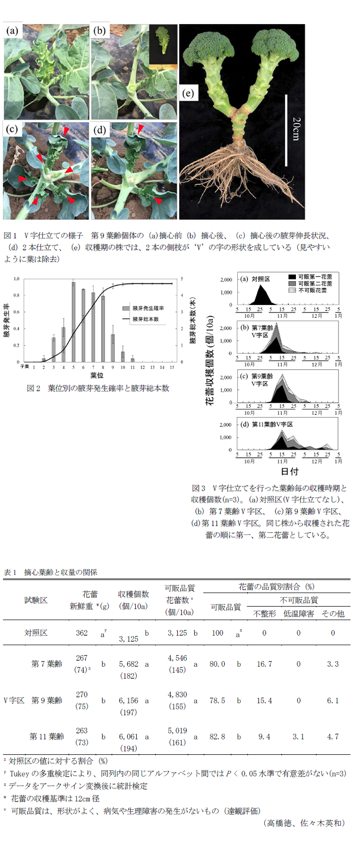 図1 V字仕立ての様子 第9葉齢個体の(a)摘心前(b)摘心後、(c)摘心後の腋芽伸長状況、(d)2本仕立て、(e)収穫期の株では、2本の側枝が'V'の字の形状を成している,図2 葉位別の腋芽発生確率と腋芽総本数,図3 V字仕立てを行った葉齢毎の収穫時期と収穫個数(n=3)。(a)対照区(V字仕立てなし)、(b) 第7葉齢V字区、 (c)第9葉齢V字区、(d)第11葉齢V字区。同じ株から収穫された花蕾の順に第一、第二花蕾としている,表1 摘心葉齢と収量の関係