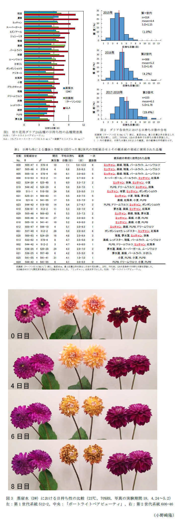 図1 切り花用ダリア24品種の日持ち性の品種間差異,図2 ダリア各世代における日持ち日数の分布 抗菌剤(ケーソンCG 0.5mL・L)液に、茎長40cm、最上位緊以外を除去した,図3 蒸留水(DW)における日持ち性の比較,表1 日持ち性による選抜と交配を1回行った第2世代の交配組合せとその親系統の育成に使用された品種