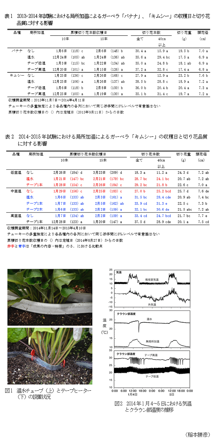 表1 2013-2014年試験における局所加温によるガーベラ「バナナ」、「キムシー」の収穫日と切り花品質に対する影響,表2 2014-2015年試験における局所加温によるガーベラ「キムシー」の収穫日と切り花品質に対する影響,図1 温水チューブ(上)とテープヒーター(下)の設置状況,図2 2014年1月4～5日における気温とクラウン部温度の推移