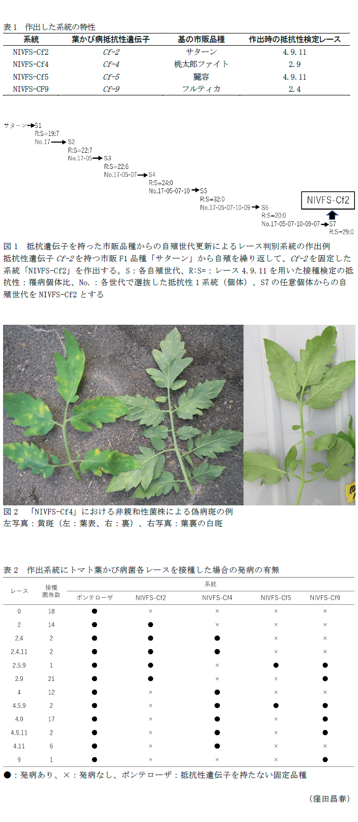 表1 作出した系統の特性,図1 抵抗遺伝子を持った市販品種からの自殖世代更新によるレース判別系統の作出例,図2 「NIVFS-Cf4」における非親和性菌株による偽病斑の例,表2 作出系統にトマト葉かび病菌各レースを接種した場合の発病の有無