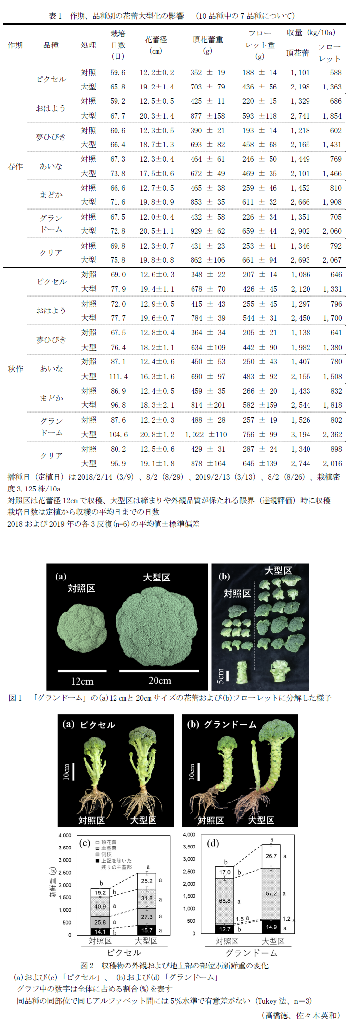 表1 作期、品種別の花蕾大型化の影響 (10品種中の7品種について),図1 「グランドーム」の(a)12cmと20cmサイズの花蕾および(b)フローレットに分解した様子,図2 収穫物の外観および地上部の部位別新鮮重の変化