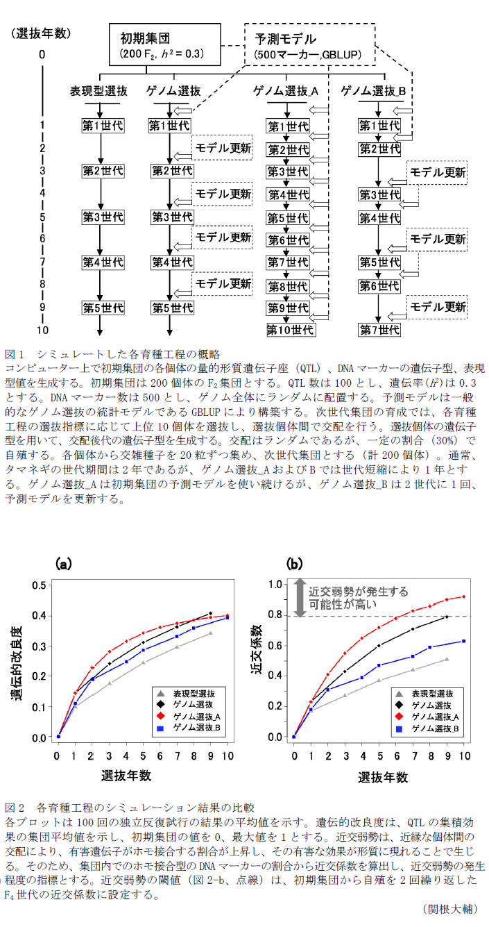 図1 シミュレートした各育種工程の概略,図2 各育種工程のシミュレーション結果の比較