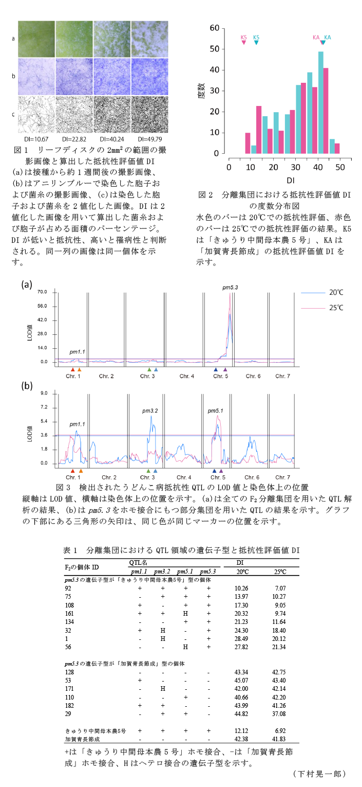 図1 リーフディスクの2mm2の範囲の撮影画像と算出した抵抗性評価値DI,図2 分離集団における抵抗性評価値DIの度数分布図,図3 検出されたうどんこ病抵抗性QTLのLOD値と染色体上の位置,表1 分離集団におけるQTL領域の遺伝子型と抵抗性評価値DI