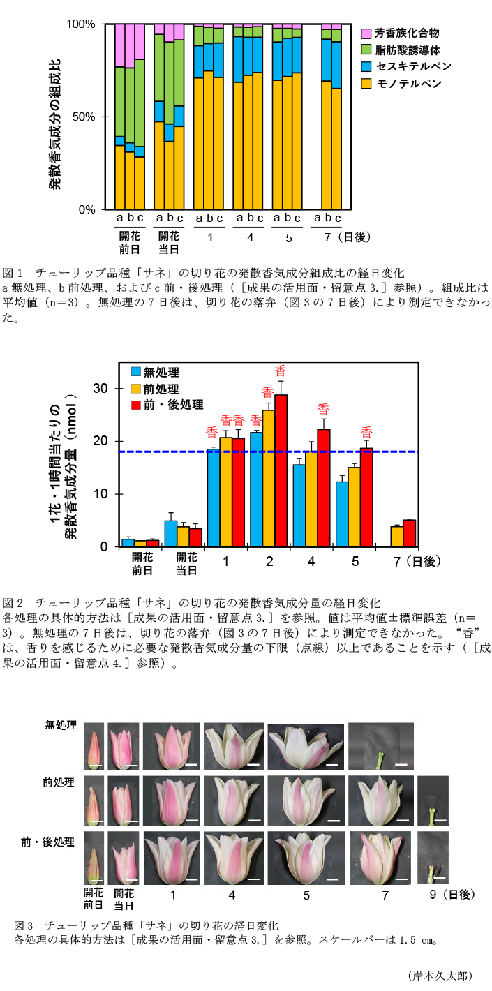 図1 チューリップ品種「サネ」の切り花の発散香気成分組成比の経日変化,図2 チューリップ品種「サネ」の切り花の発散香気成分量の経日変化,図3 チューリップ品種「サネ」の切り花の経日変化