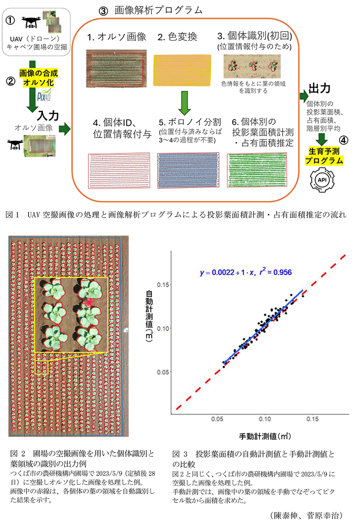 図1 UAV空撮画像の処理と画像解析プログラムによる投影葉面積計測・占有面積推定の流れ,図2 圃場の空撮画像を用いた個体識別と葉領域の識別の出力例,図3 投影葉面積の自動計測値と手動計測値との比較