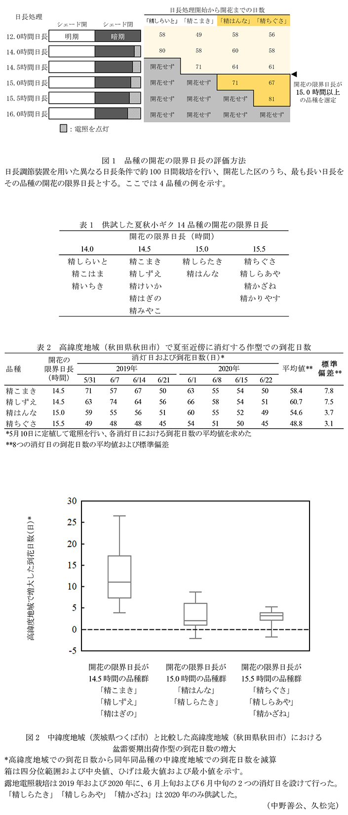 図1 品種の開花の限界日長の評価方法,表1 供試した夏秋小ギク14品種の開花の限界日長,表2 高緯度地域(秋田県秋田市)で夏至近傍に消灯する作型での到花日数,図2 中緯度地域(茨城県つくば市)と比較した高緯度地域(秋田県秋田市)における盆需要期出荷作型の到花日数の増大
