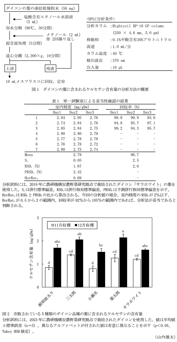図1 ダイコンの葉に含まれるケルセチン含有量の分析方法の概要,図2 市販されている5種類のダイコン品種の葉に含まれるケルセチンの含有量