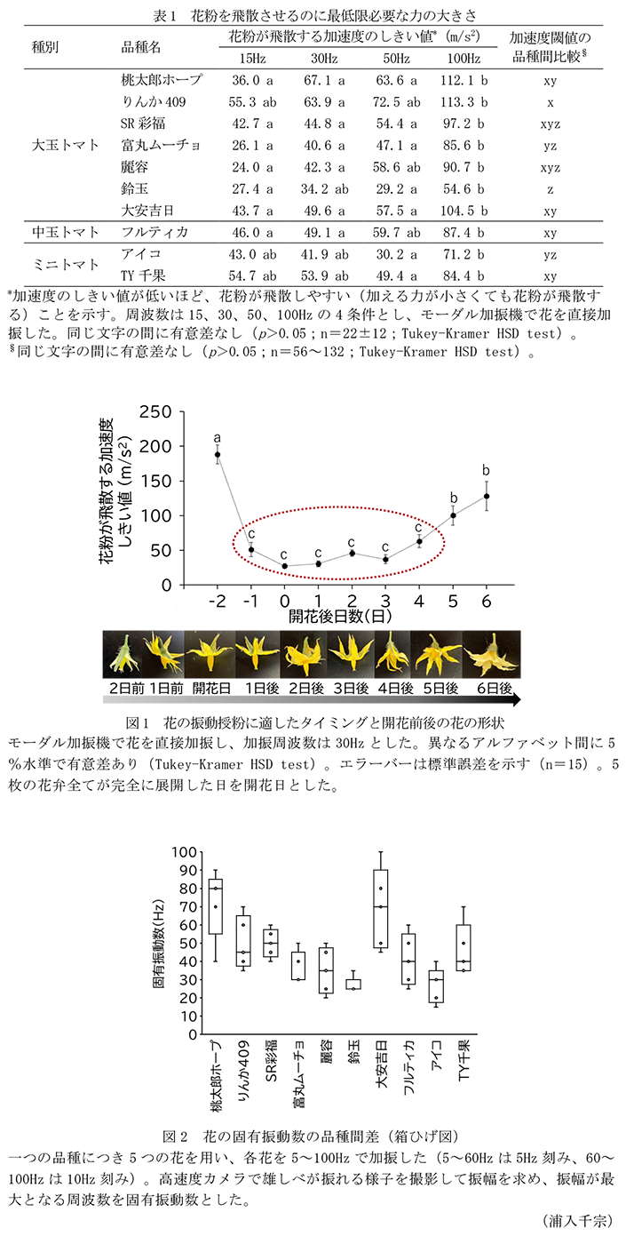 表1 花粉を飛散させるのに最低限必要な力の大きさ,図1 花の振動授粉に適したタイミングと開花前後の花の形状,図2 花の固有振動数の品種間差(箱ひげ図)