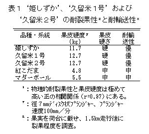 表1 '姫しずか'、'久留米1号'および'久留米2号'の耐裂果性と耐輸送性