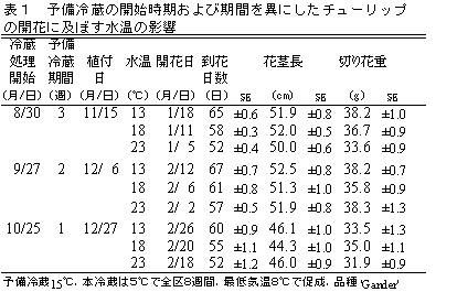 表1 予備冷蔵の開始時期および期間を異にしたチューリップの開花に及ぼす水温の影響