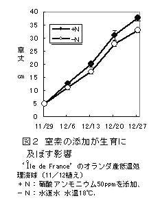 図2 窒素の添加が生育に及ぼす影響