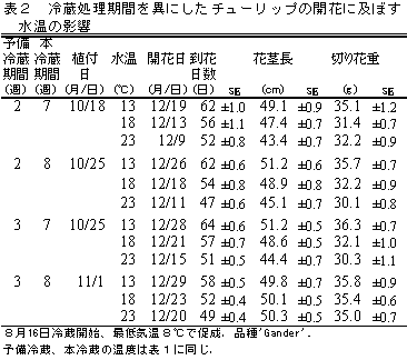 表2 冷蔵処理期間を異にしたチューリップの開花に及ぼす水温の影響