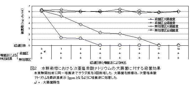 図2 水耕栽培における次亜塩素酸ナトリウムの大腸菌に対する殺菌効果