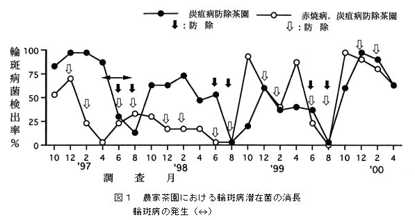 図1 農家茶園における輪斑病潜在菌の消長