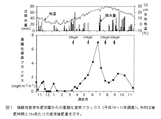 図1 強酸性窒素多肥茶園からの亜酸化窒素フラックス(平成10~11年調査)。矢印は施肥時期と10aあたりの窒素施肥量を示す。