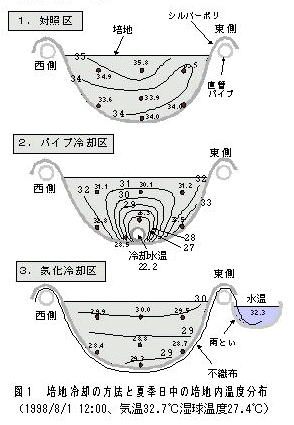 図1 培地冷却の方法と夏季日中の培地内温度分布